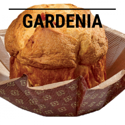 Gardenia