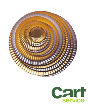 PLATO CARTON METALIZADO ORO 12 ANONIMO CAJA 500uds.
