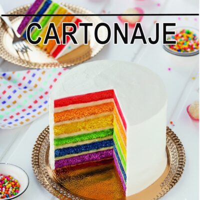 Cartonaje: Platos, bandejas, Discos y Formatos